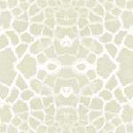Cracket.JPG (3532 bytes)